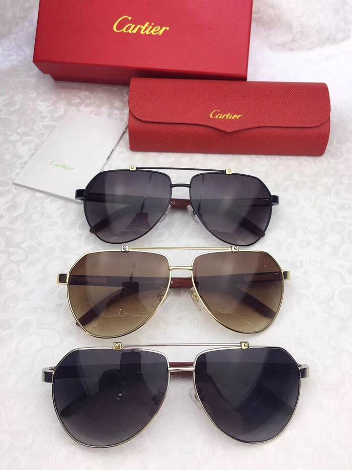 Cartier Sunglasses Top Quality C41091