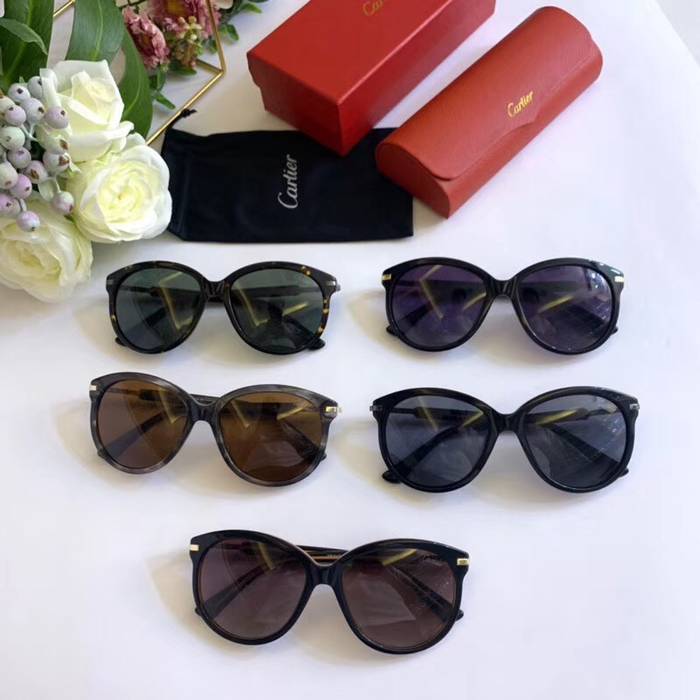 Cartier Sunglasses Top Quality C41092