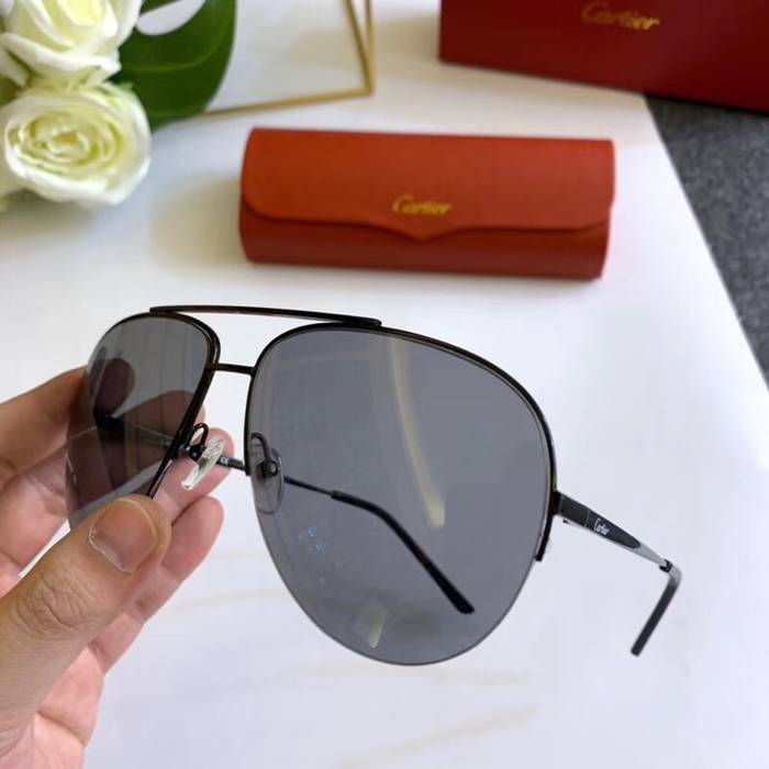 Cartier Sunglasses Top Quality C41100