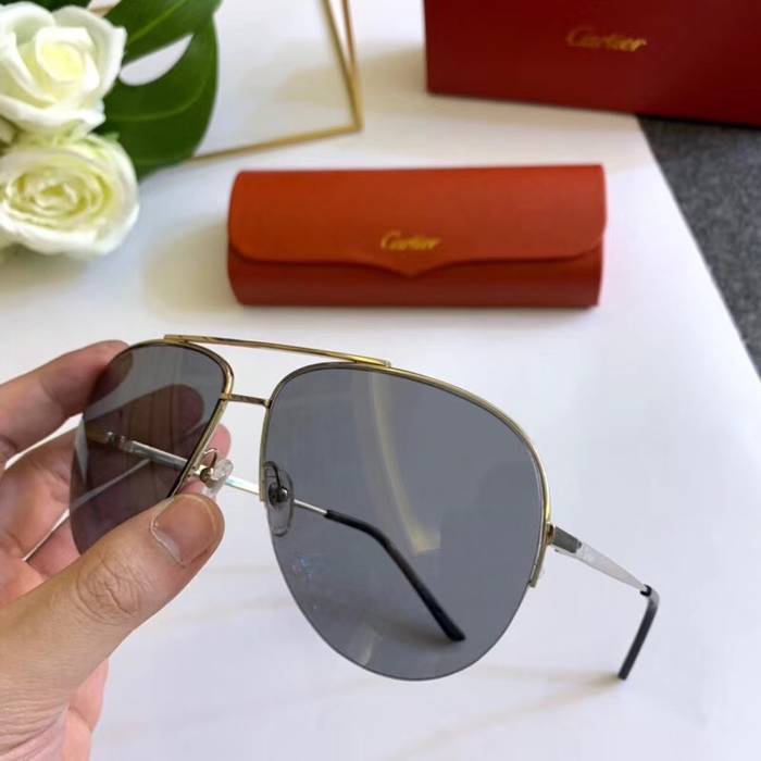 Cartier Sunglasses Top Quality C41101