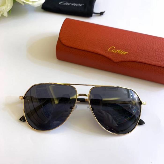 Cartier Sunglasses Top Quality C41105