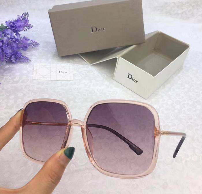 Dior Sunglasses Top Quality D41595