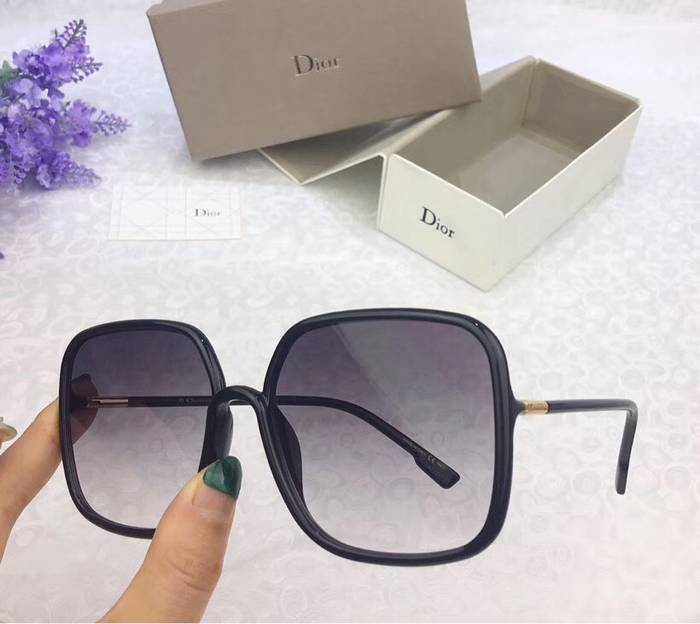 Dior Sunglasses Top Quality D41596