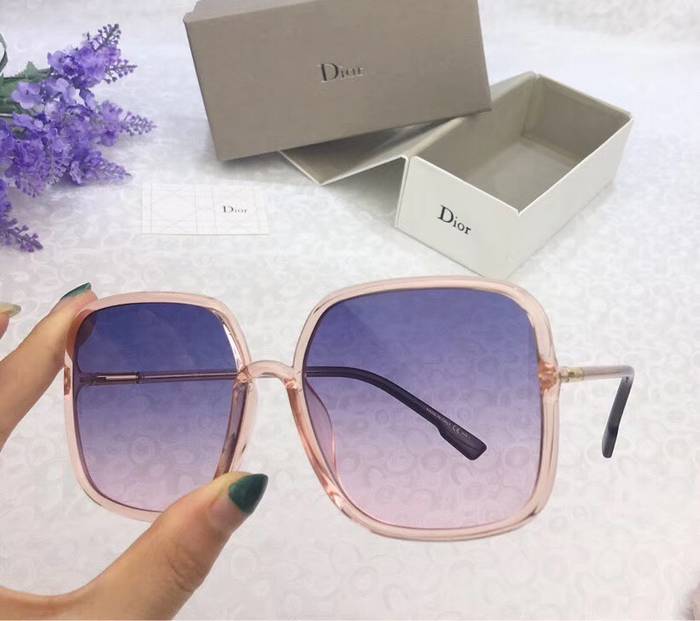 Dior Sunglasses Top Quality D41600