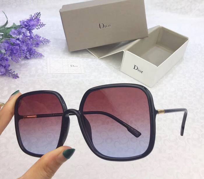 Dior Sunglasses Top Quality D41602