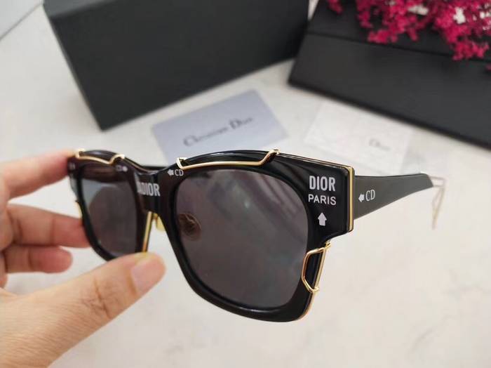 Dior Sunglasses Top Quality D41603
