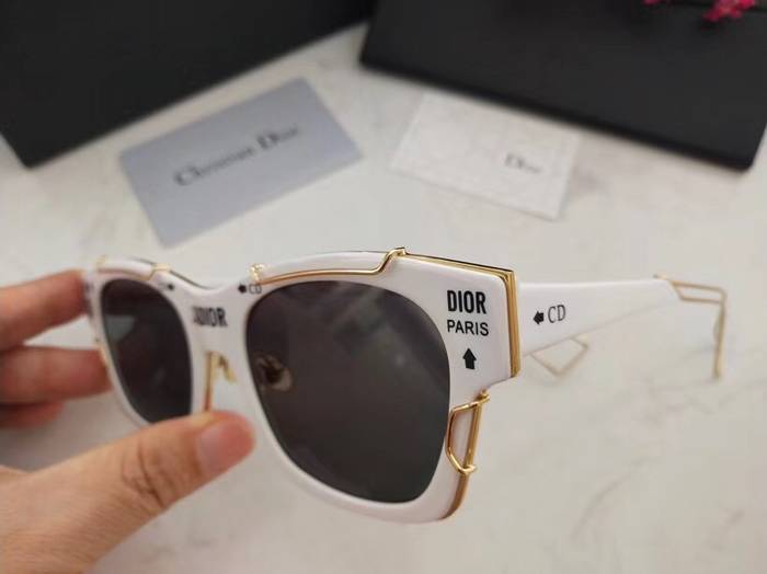 Dior Sunglasses Top Quality D41605