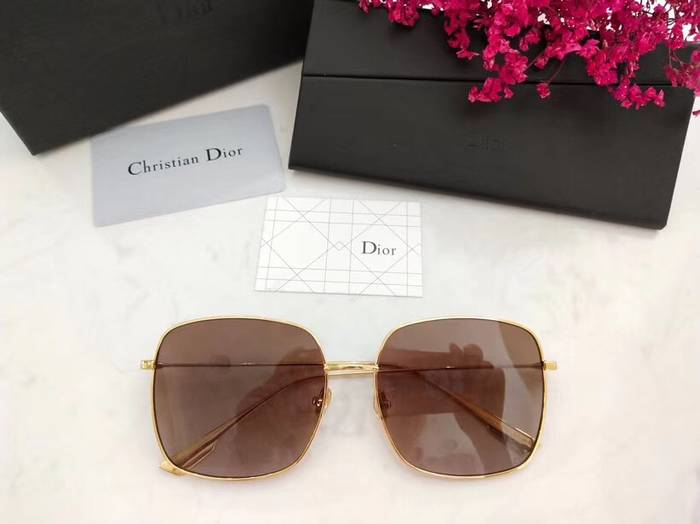 Dior Sunglasses Top Quality D41607