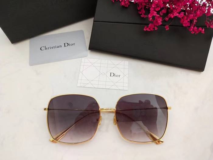 Dior Sunglasses Top Quality D41608