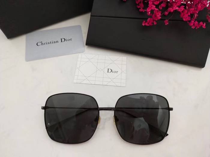 Dior Sunglasses Top Quality D41609