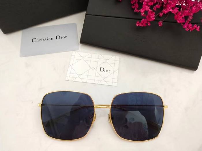 Dior Sunglasses Top Quality D41610