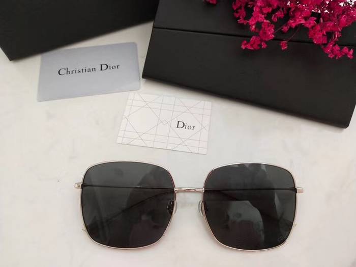 Dior Sunglasses Top Quality D41613