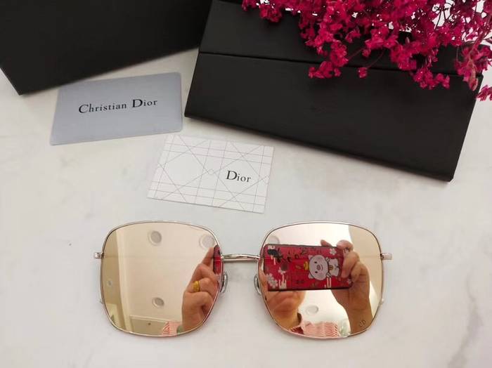 Dior Sunglasses Top Quality D41615