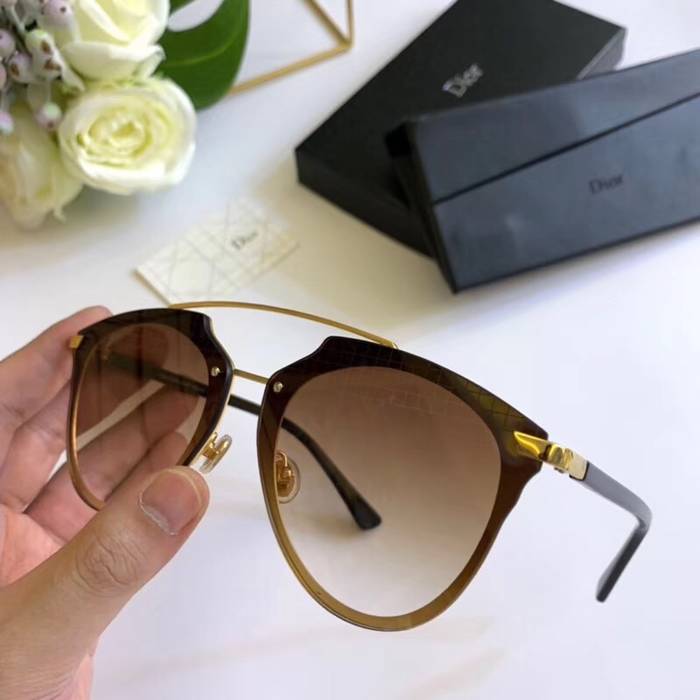 Dior Sunglasses Top Quality D41663