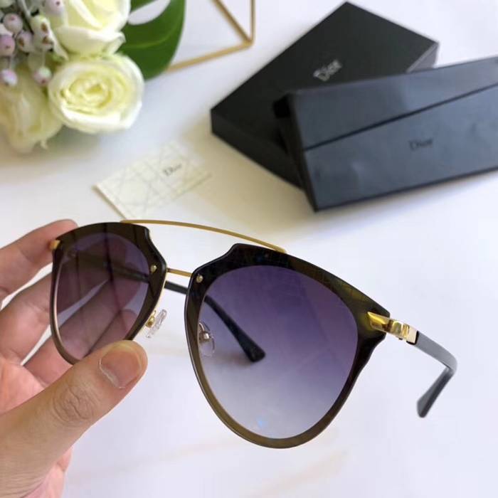 Dior Sunglasses Top Quality D41664