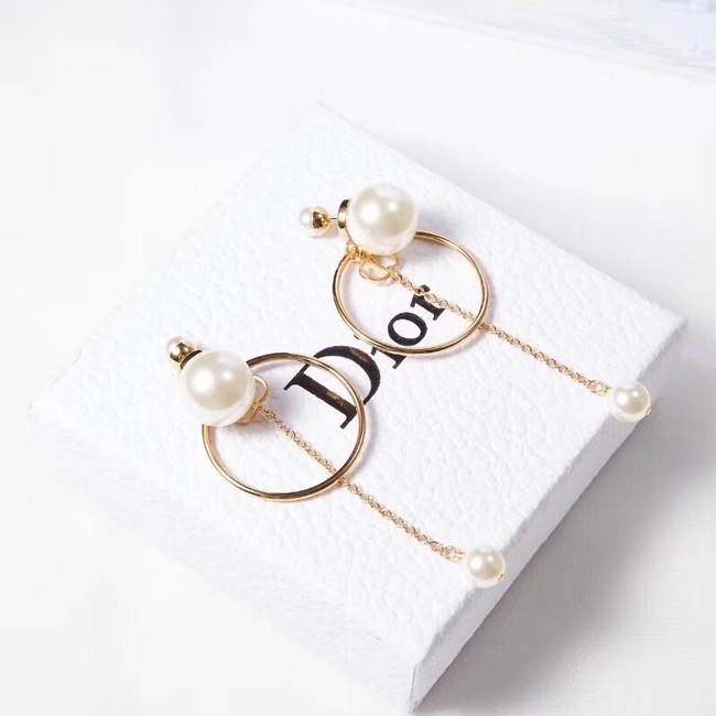 Dior Earrings CE2215