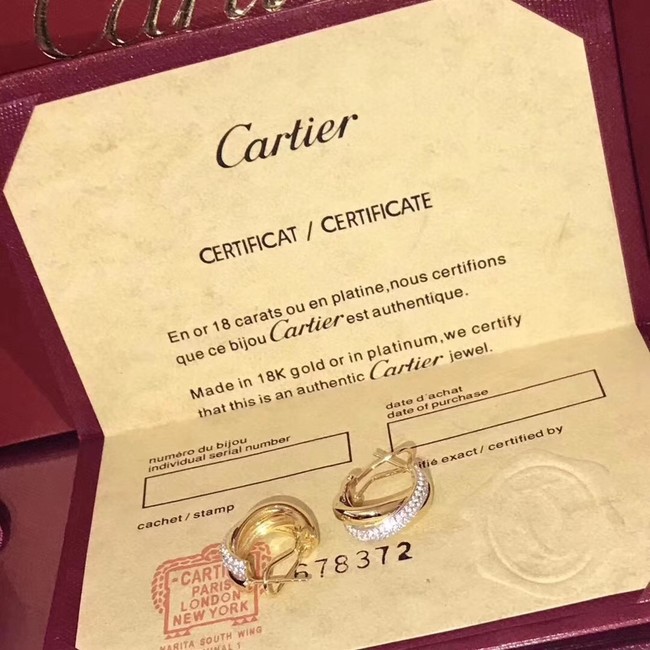 Cartier Earrings CE2226