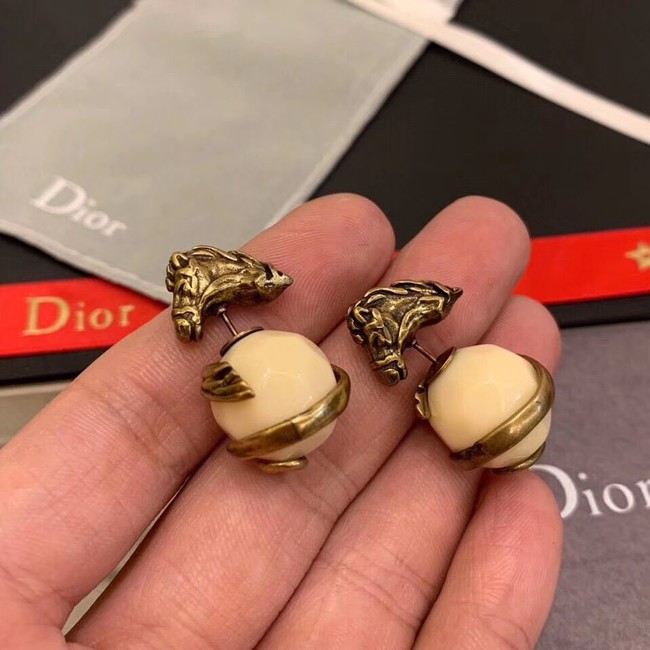 Dior Earrings CE2234