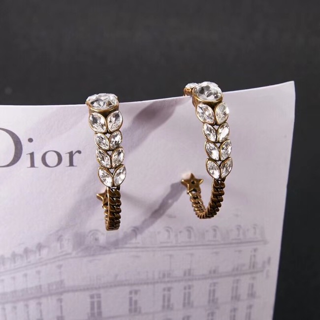 Dior Earrings CE2279