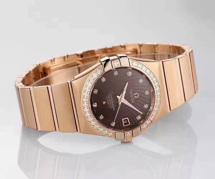 Omega Watch OM20113