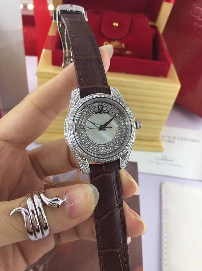 Omega Watch OM20143