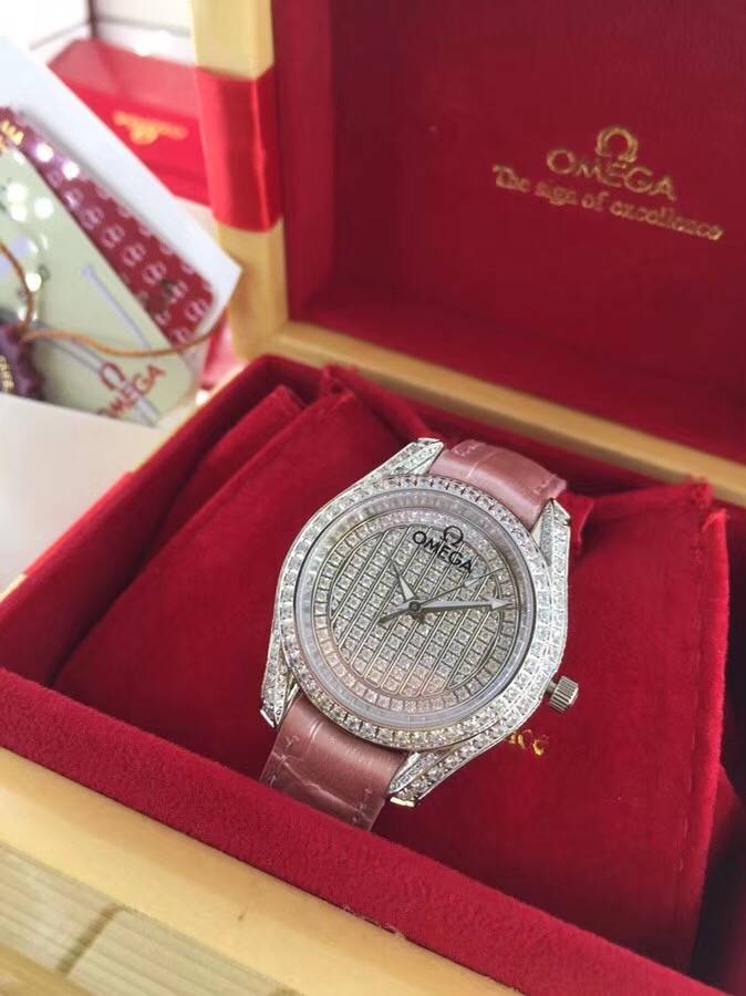 Omega Watch OM20149