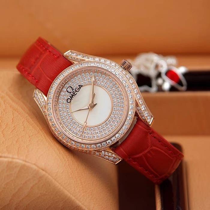 Omega Watch OM20157