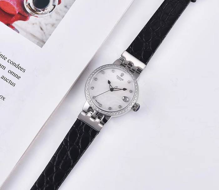 Tudor Watch T20551