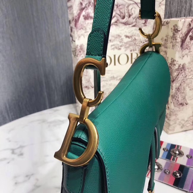 Dior SADDLE-TAS VAN KALFSLEER M0446C green