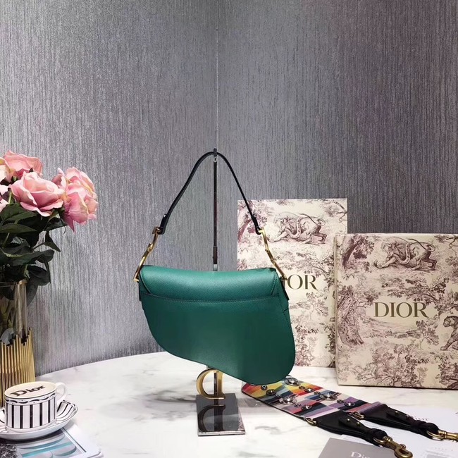 Dior SADDLE-TAS VAN KALFSLEER M0446C green