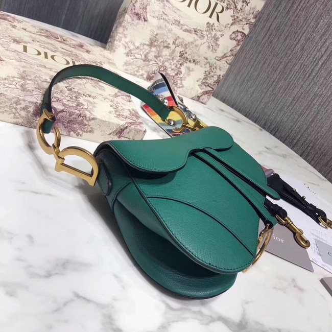 Dior SADDLE-TAS VAN KALFSLEER M0446C green