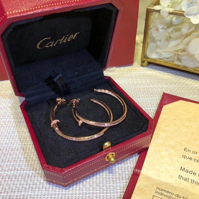 Cartier Earrings CE2313