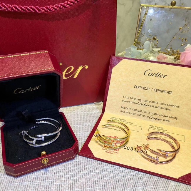 Cartier Earrings CE2313