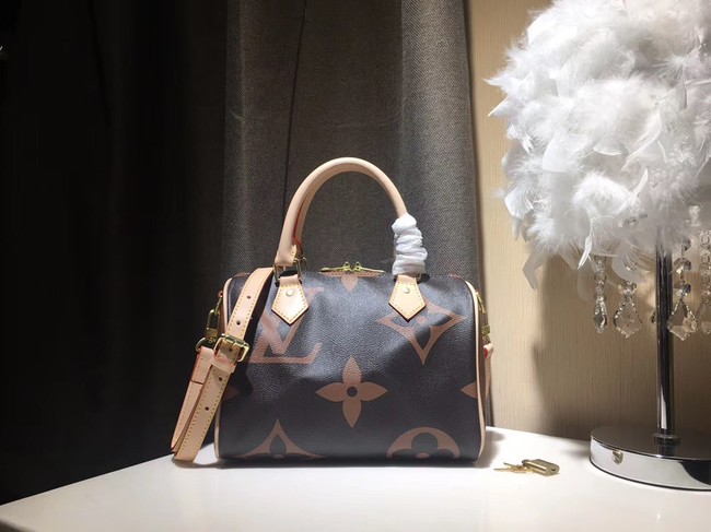 Louis Vuitton SPEEDY 25 M41111