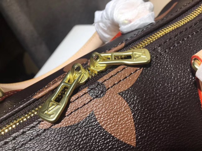 Louis Vuitton SPEEDY 25 M41111