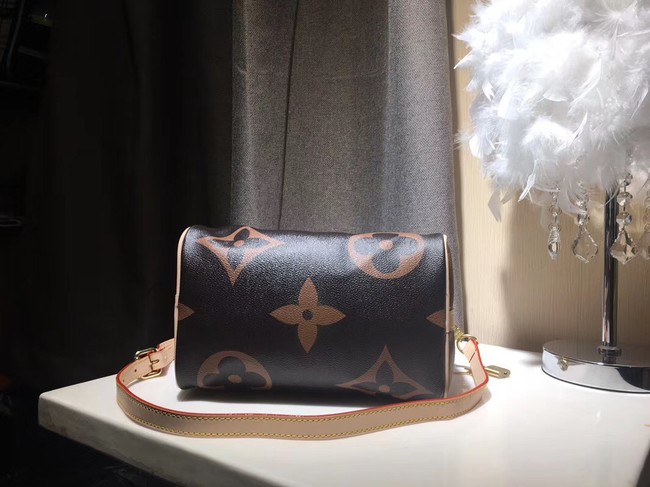 Louis Vuitton SPEEDY 25 M41111