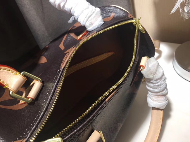 Louis Vuitton SPEEDY 25 M41111