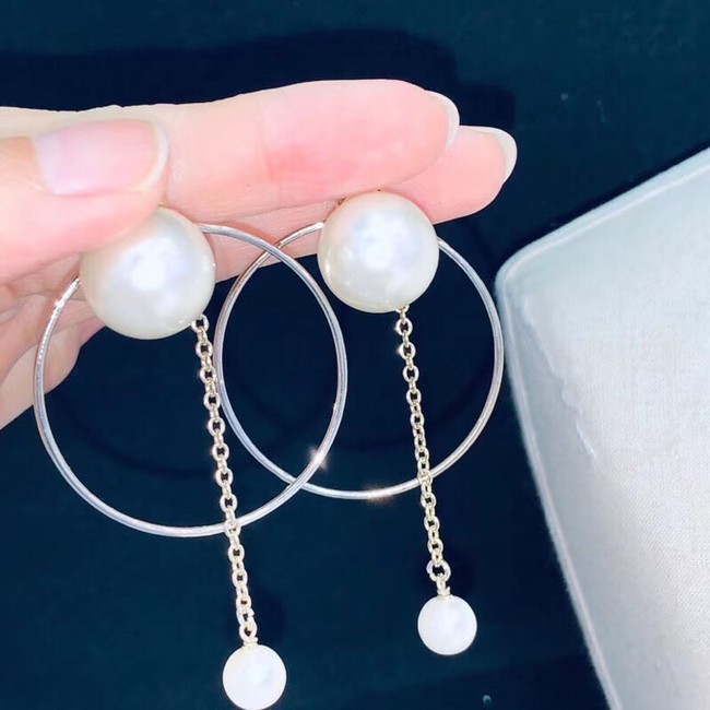 Dior Earrings CE2352