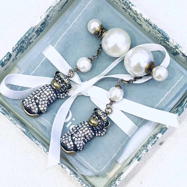 Dior Earrings CE2355