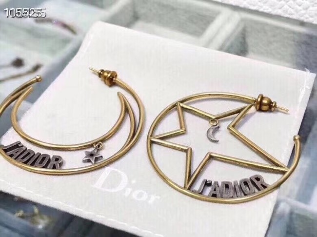 Dior Earrings CE2321