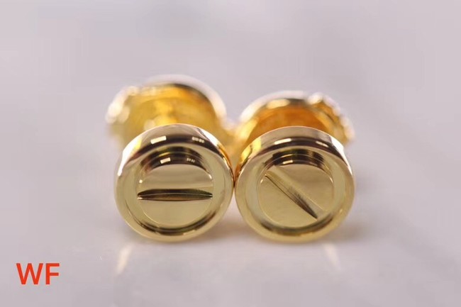 Cartier Earrings CE3429