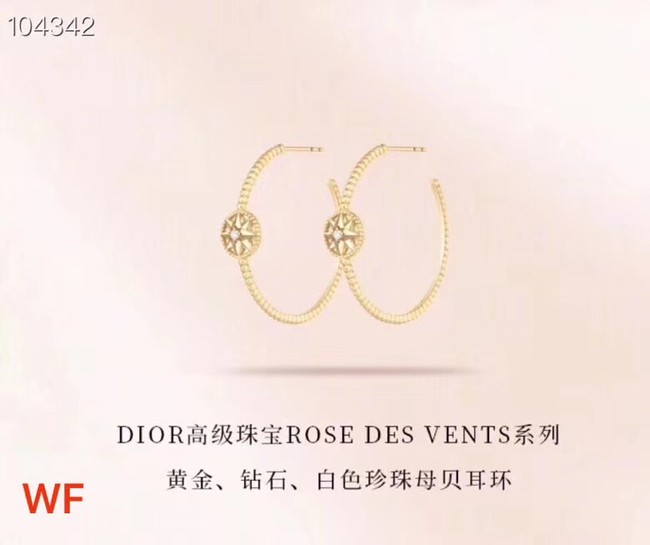 Dior Earrings CE3399