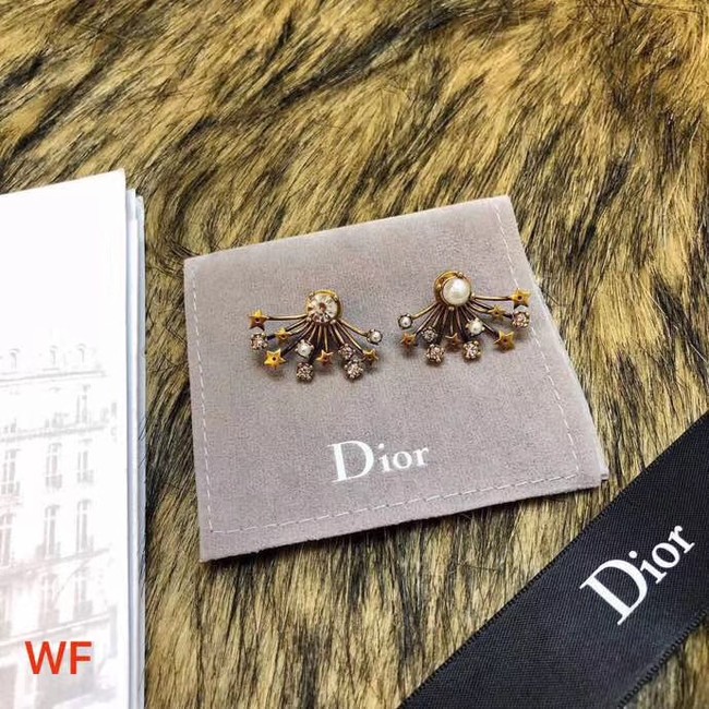 Dior Earrings CE3496