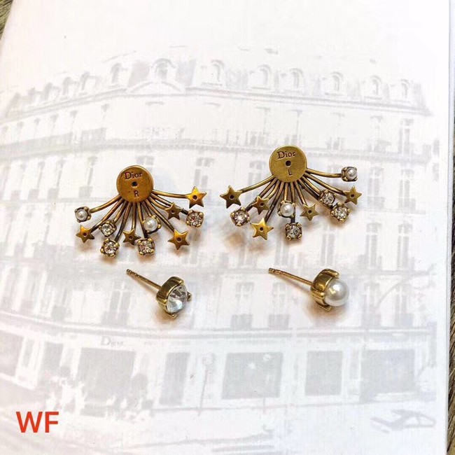 Dior Earrings CE3496