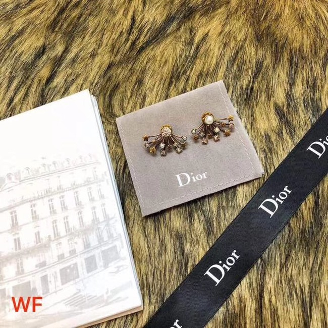 Dior Earrings CE3496