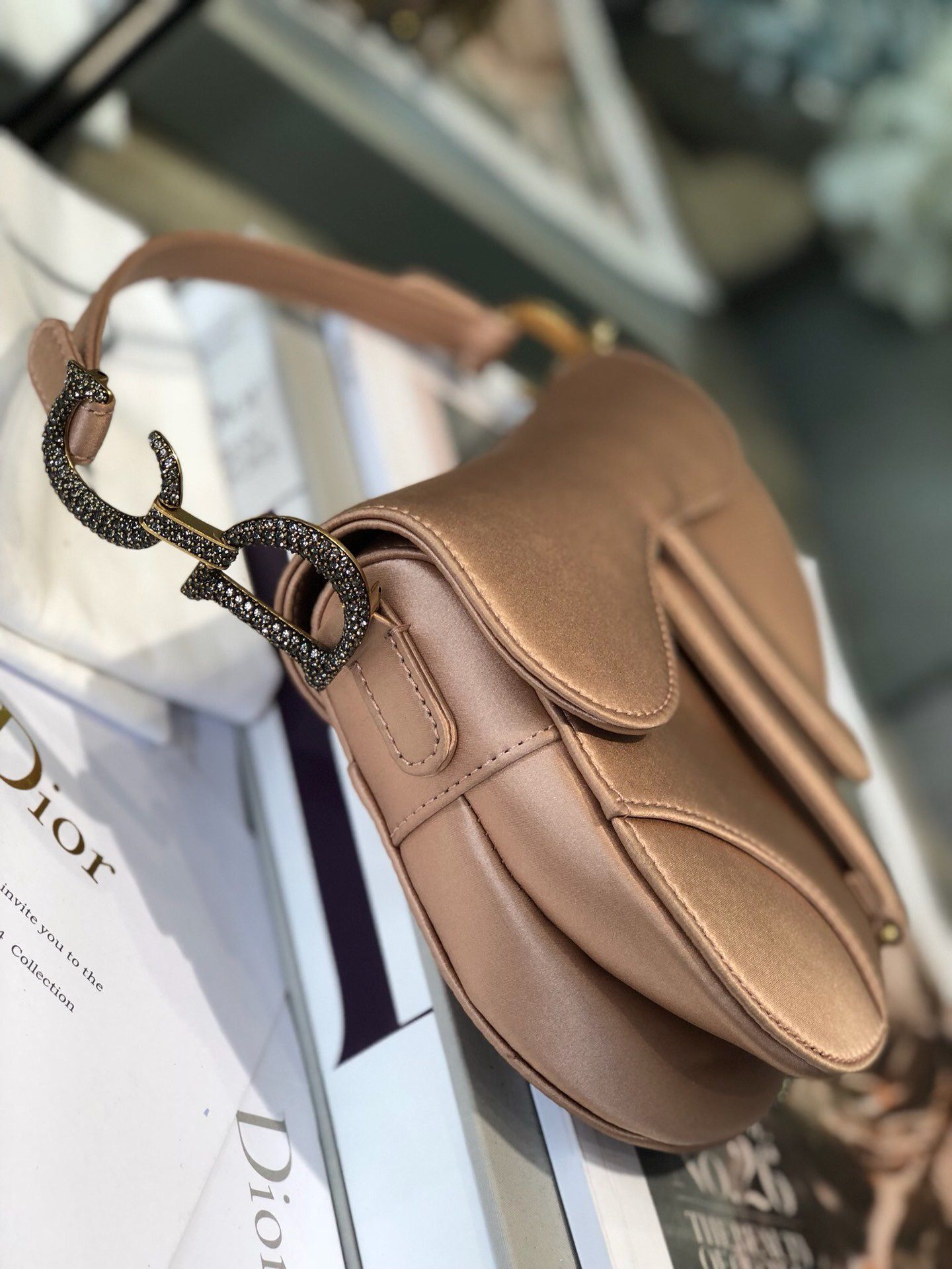 Dior SADDLE SATIN MINI BAG M447S Champagne