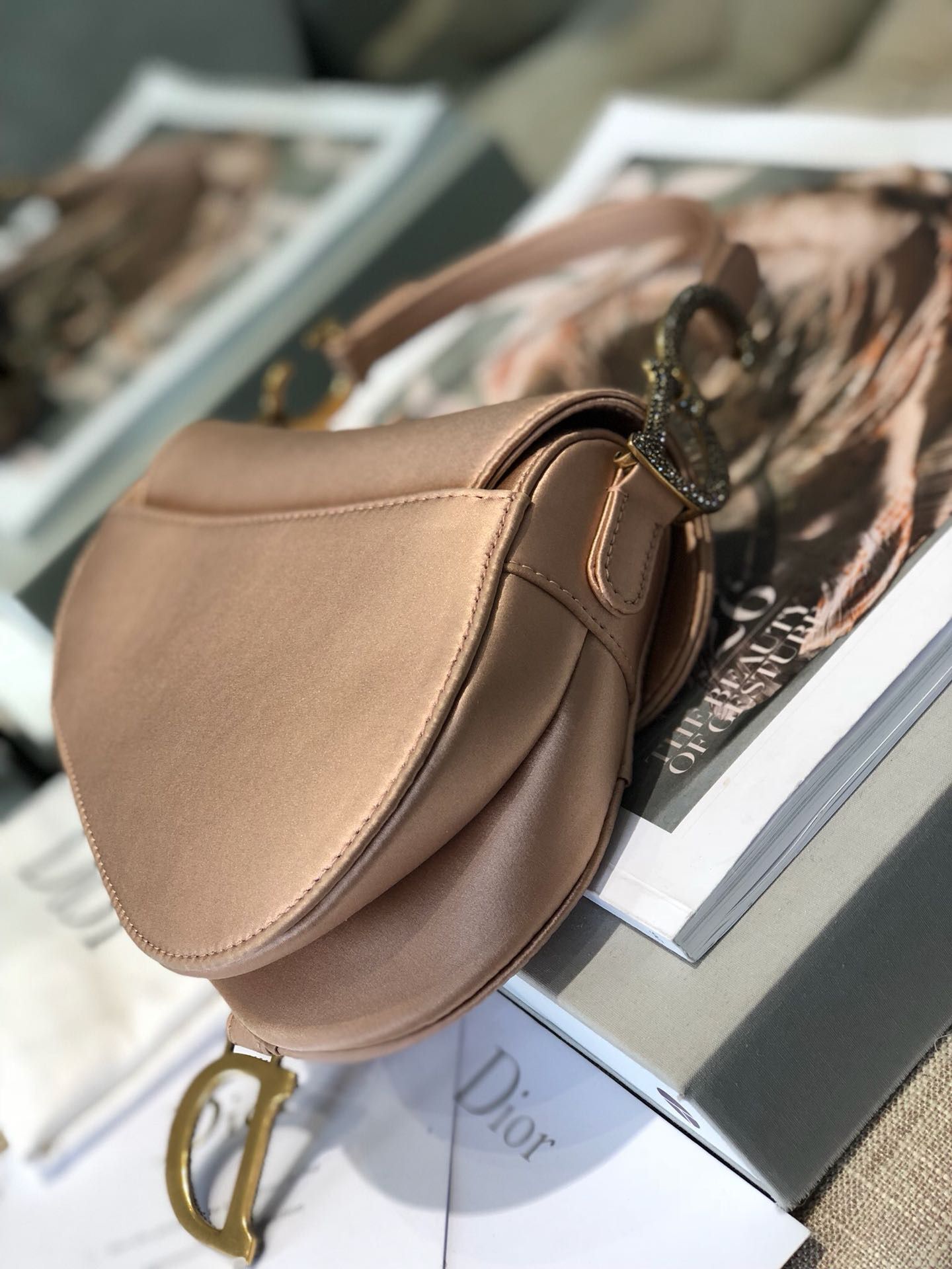 Dior SADDLE SATIN MINI BAG M447S Champagne