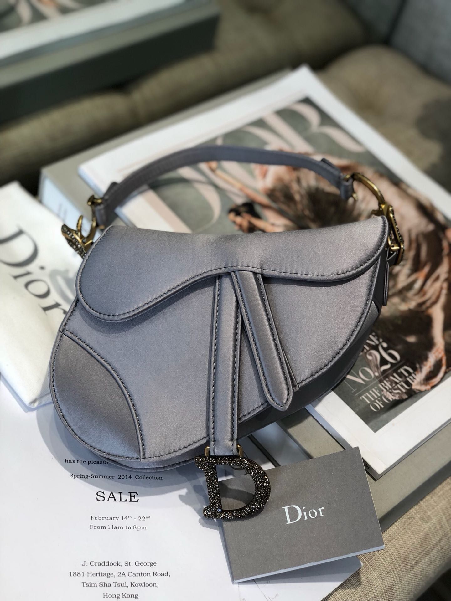 Dior SADDLE SATIN MINI BAG M447S Gray