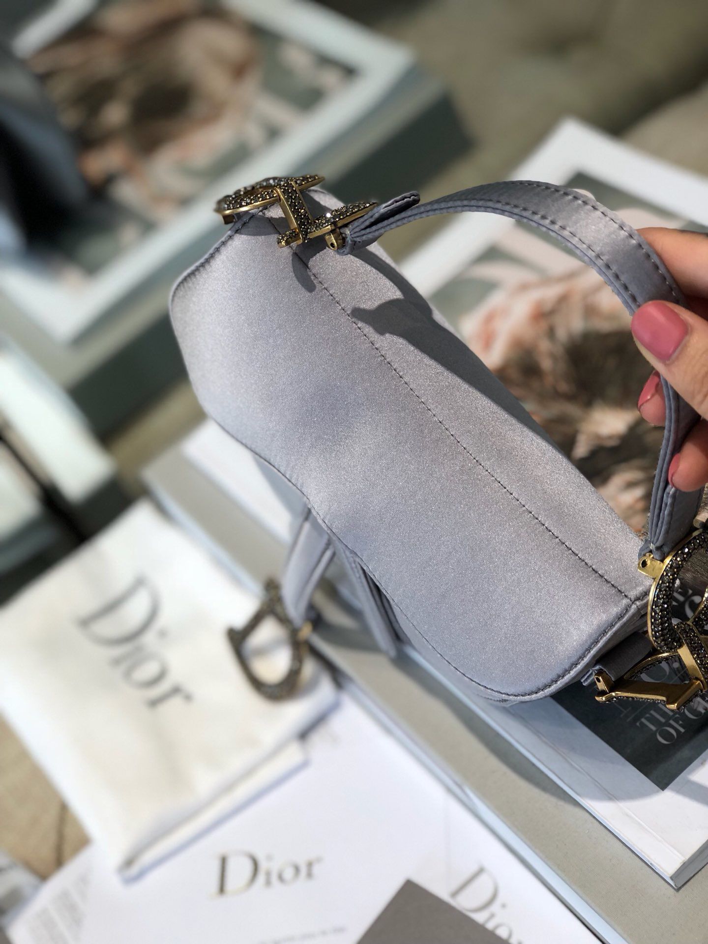 Dior SADDLE SATIN MINI BAG M447S Gray