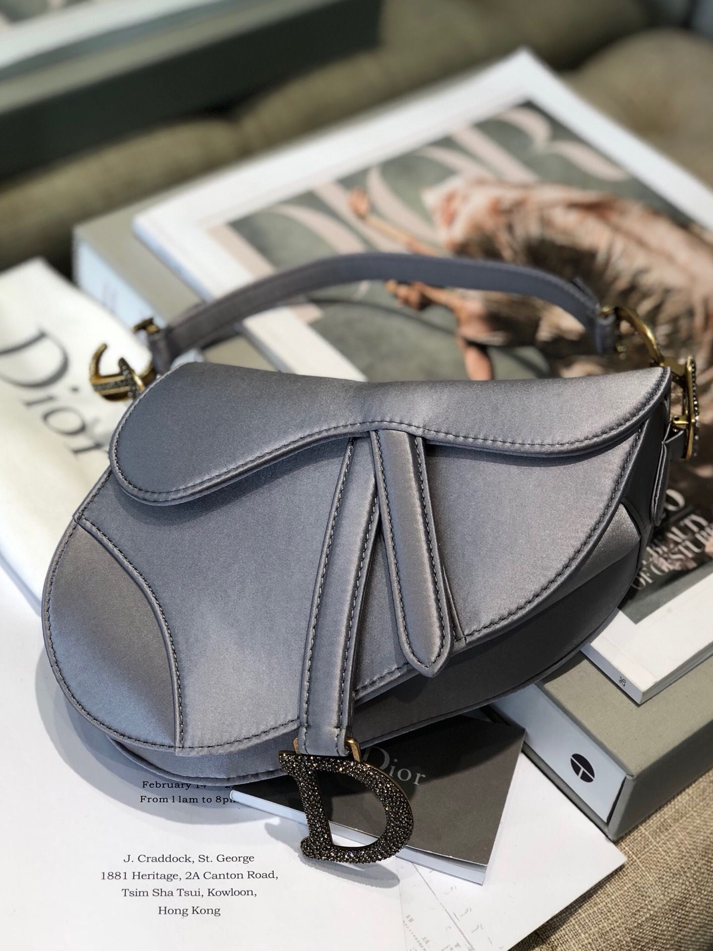 Dior SADDLE SATIN MINI BAG M447S Gray